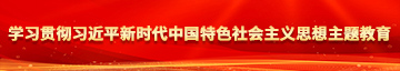 骚太骚电影学习贯彻习近平新时代中国特色社会主义思想主题教育